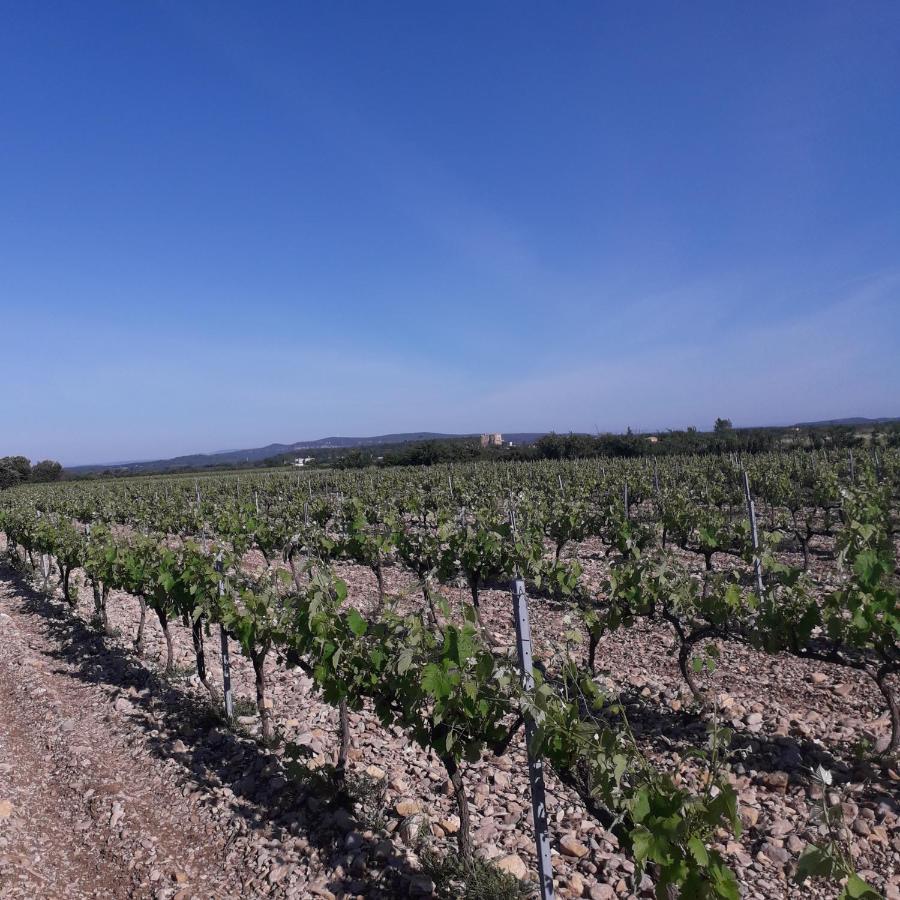 Vents D'anges Bed & Breakfast 4*